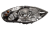 DSC_0563 (1).png