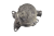 13 (2).png