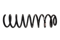 DSC_0005.png