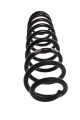 DSC_0006.png