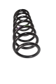 DSC_0026.png