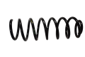 DSC_0026.png