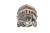 DSC_0065.png