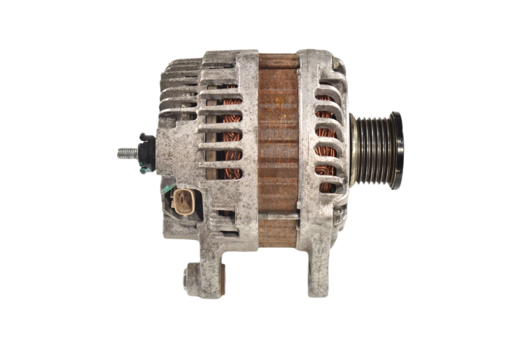 DSC_0066.png