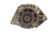 DSC_0051 (1).png