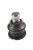DSC_0063 (1).png