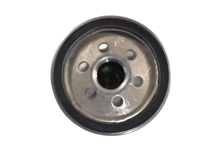 DSC_0069.png