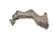 DSC_0120.png