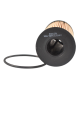 DSC_0006 (1).png