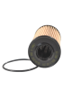 DSC_0017 (2).png