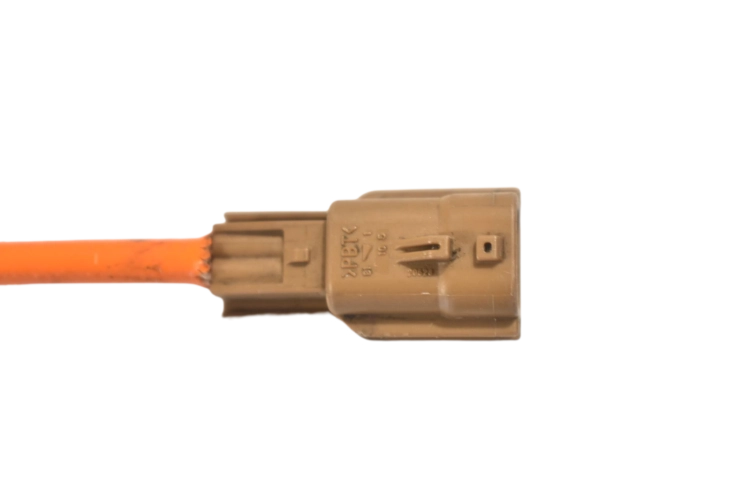 DSC_0003.png