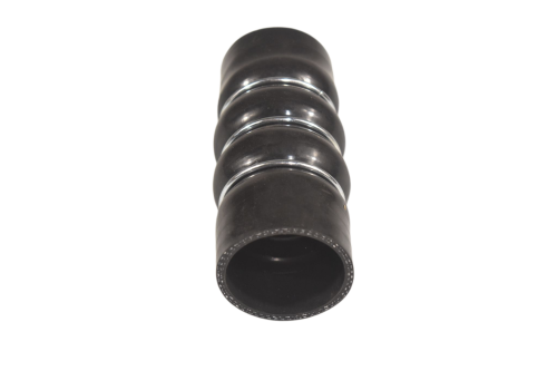 DSC_0002 (4).png