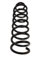 DSC_0005 (3).png