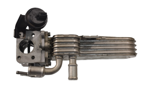 DSC_0001.png
