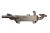 DSC_0001.png