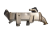DSC_0004.png