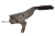 DSC_0006.png