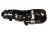 DSC_0001 (31).png