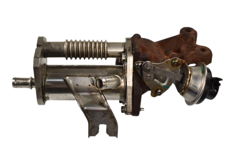 DSC_0005.png