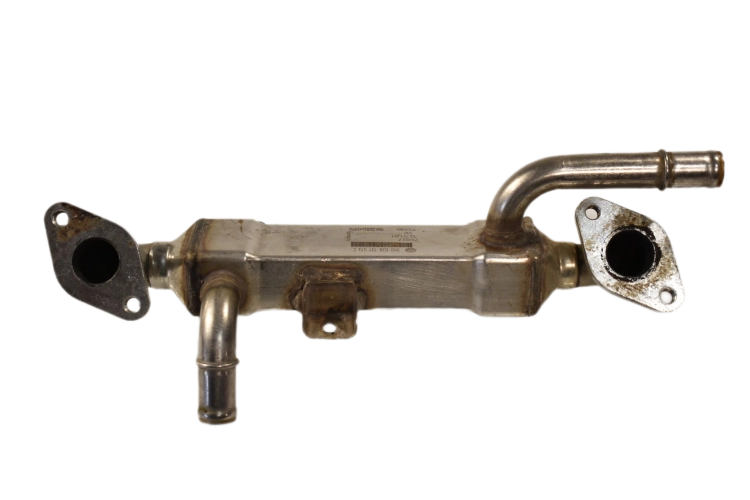 DSC_0002.png