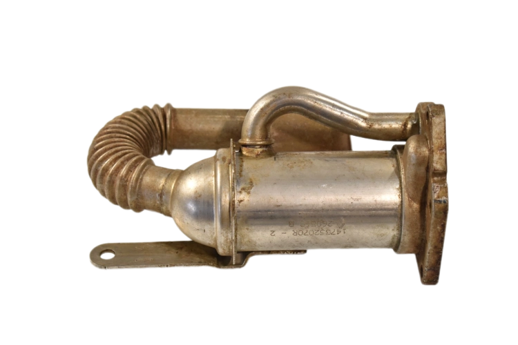 DSC_0002.png