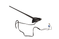 DSC_0001 (64).png