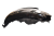 DSC_0005.png