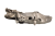 DSC_0001 (94).png