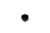 DSC_0007 (22).png