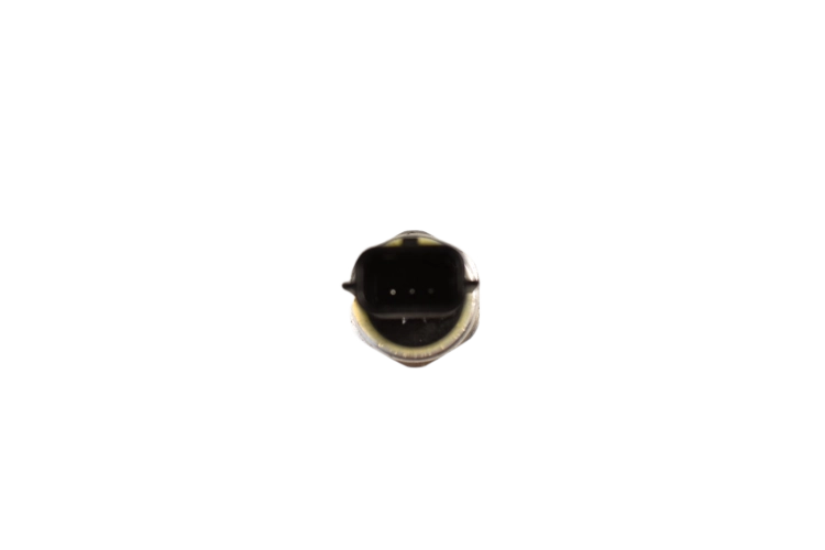 DSC_0007 (22).png