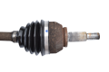 DSC_0009 (13).png