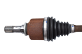 DSC_0008 (21).png