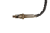 DSC_0008 (29).png