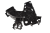 DSC_0008 (40).png