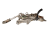 DSC_0008 (42).png