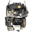 DSC_0010 (1).png