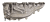 DSC_0008.png