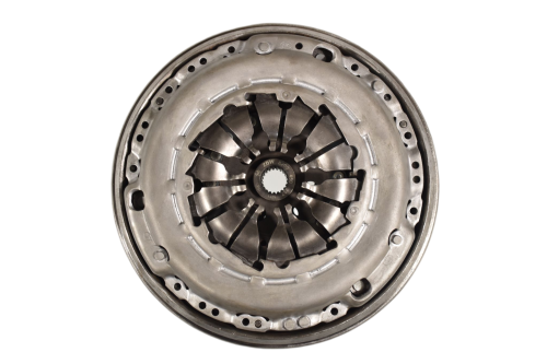 DSC_0009.png