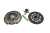DSC_0001 (4).png