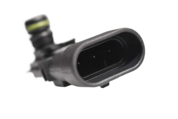 DSC_0004 (4).png