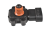 DSC_0007 (2).png