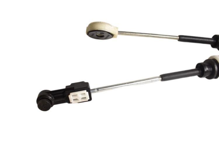 DSC_0006 (9).png