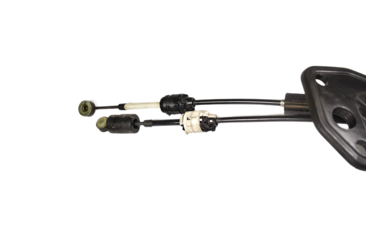 DSC_0003 (2).png