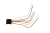 DSC_0004 (5).png