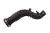 DSC_0001 (4).png