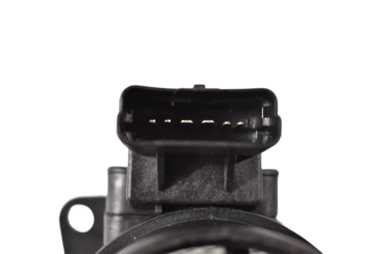 DSC_0006.png