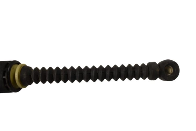 DSC_0004 (5).png