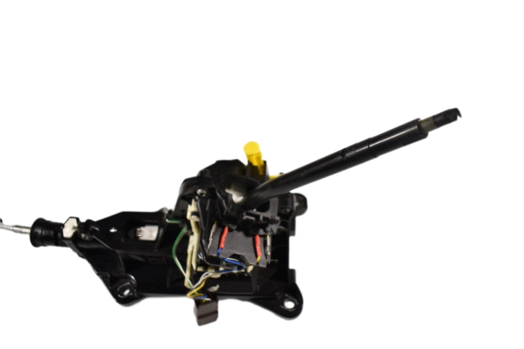 DSC_0003 (6).png