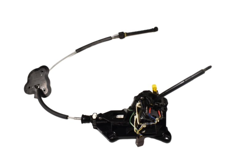 DSC_0002 (6).png