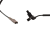 DSC_0010 (2).png